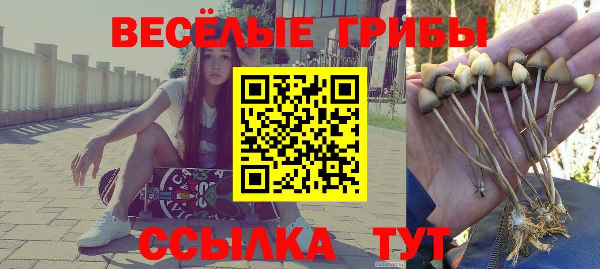 Галлюциногенные грибы прущие грибы Сокол